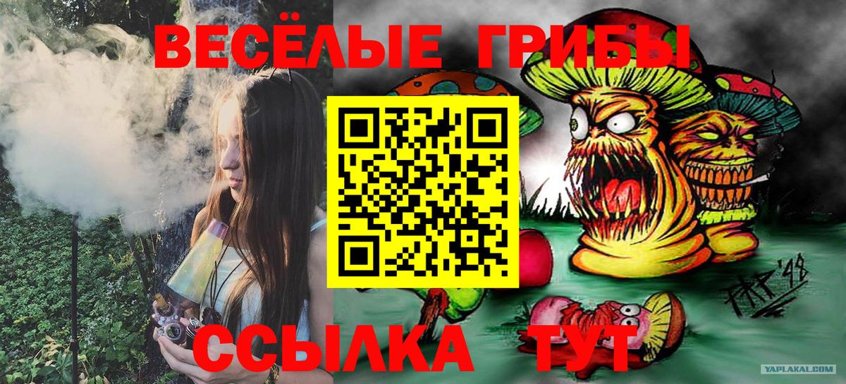 Псилоцибиновые грибы Psilocybe  Вход с VPN  Норильск 